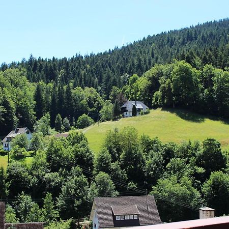 Ferienwohnung Schwarzwaldblick Bad Rippoldsau-Schapbach Kültér fotó