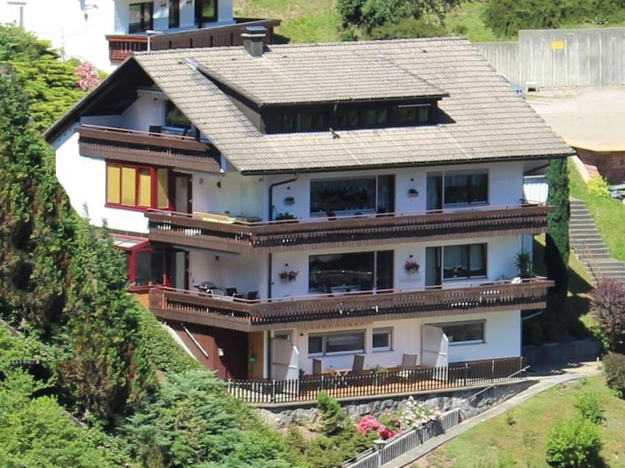 Ferienwohnung Schwarzwaldblick Bad Rippoldsau-Schapbach Kültér fotó