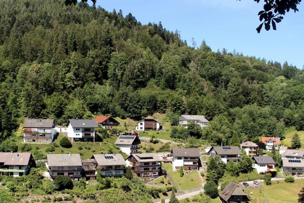 Ferienwohnung Schwarzwaldblick Bad Rippoldsau-Schapbach Kültér fotó