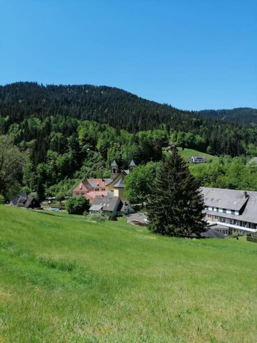 Ferienwohnung Schwarzwaldblick Bad Rippoldsau-Schapbach Kültér fotó