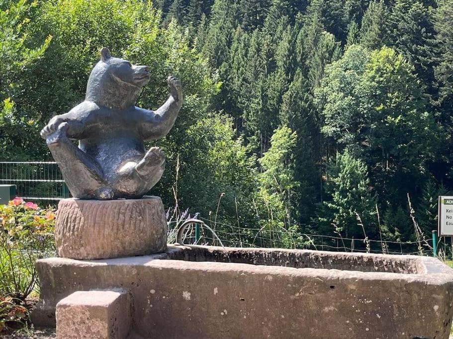 Ferienwohnung Schwarzwaldblick Bad Rippoldsau-Schapbach Kültér fotó
