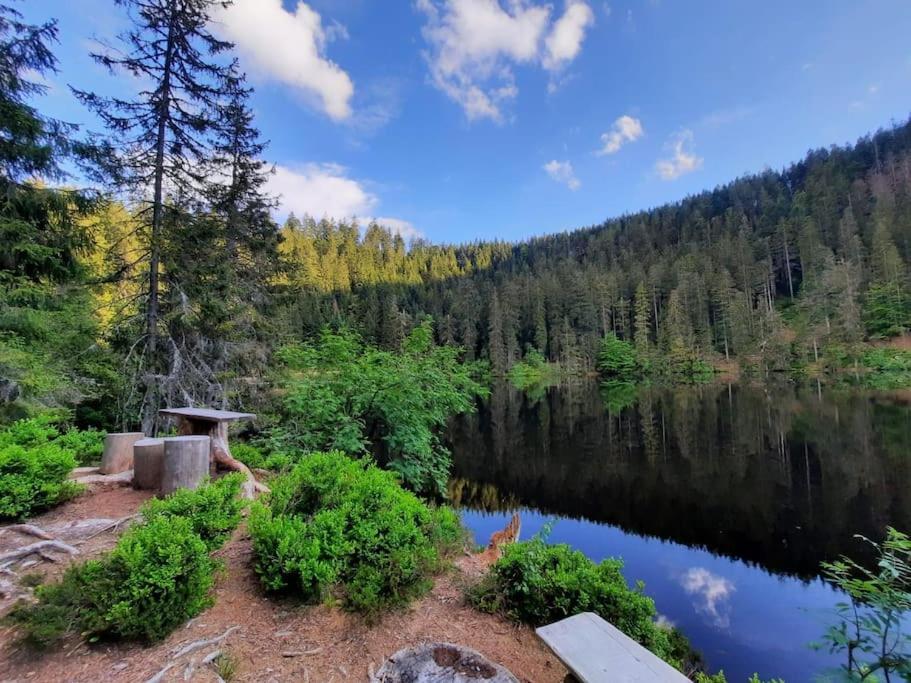 Ferienwohnung Schwarzwaldblick Bad Rippoldsau-Schapbach Kültér fotó