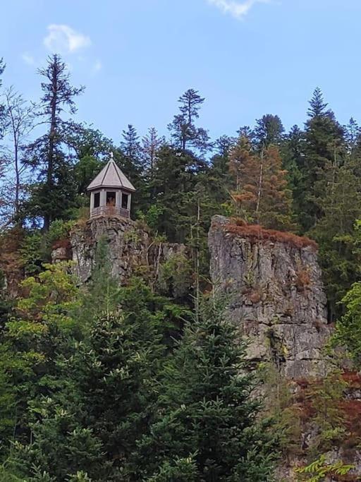 Ferienwohnung Schwarzwaldblick Bad Rippoldsau-Schapbach Kültér fotó