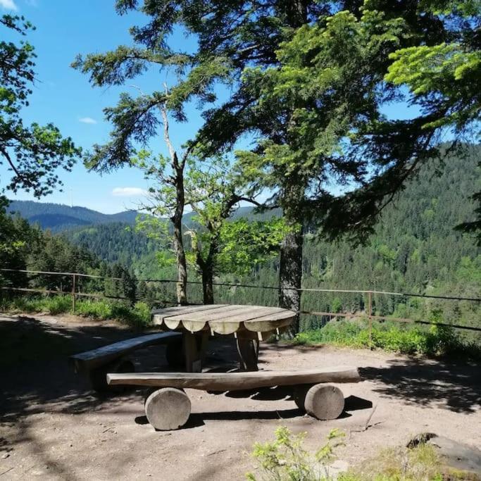 Ferienwohnung Schwarzwaldblick Bad Rippoldsau-Schapbach Kültér fotó