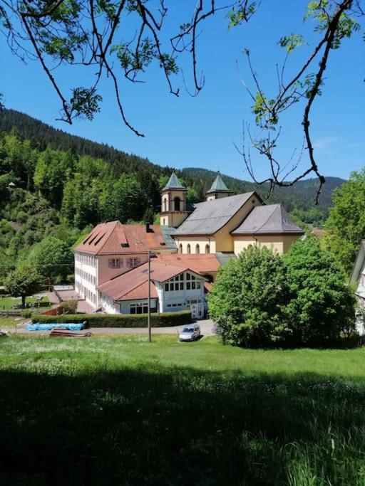 Ferienwohnung Schwarzwaldblick Bad Rippoldsau-Schapbach Kültér fotó