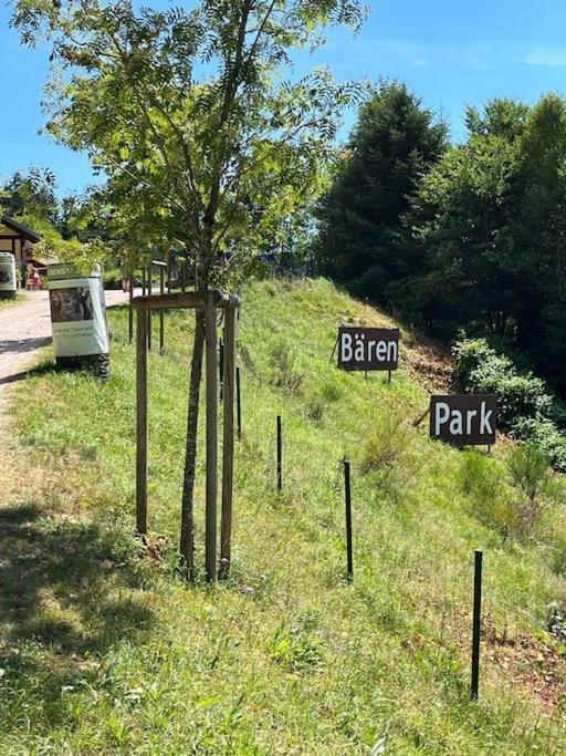 Ferienwohnung Schwarzwaldblick Bad Rippoldsau-Schapbach Kültér fotó