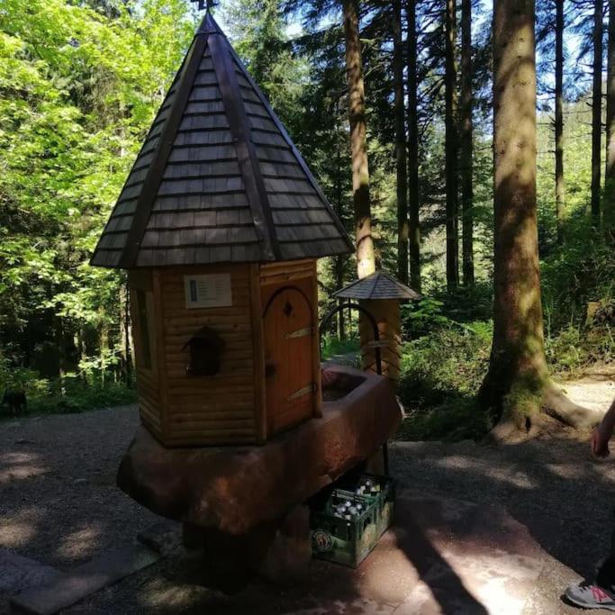 Ferienwohnung Schwarzwaldblick Bad Rippoldsau-Schapbach Kültér fotó