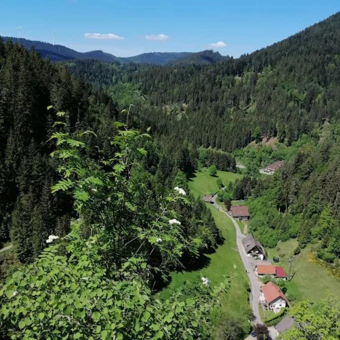 Ferienwohnung Schwarzwaldblick Bad Rippoldsau-Schapbach Kültér fotó