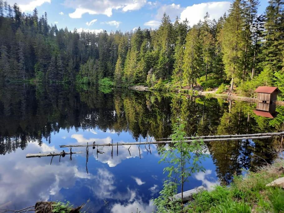 Ferienwohnung Schwarzwaldblick Bad Rippoldsau-Schapbach Kültér fotó