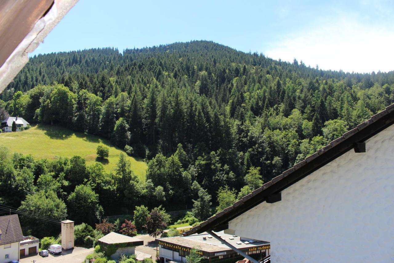 Ferienwohnung Schwarzwaldblick Bad Rippoldsau-Schapbach Kültér fotó