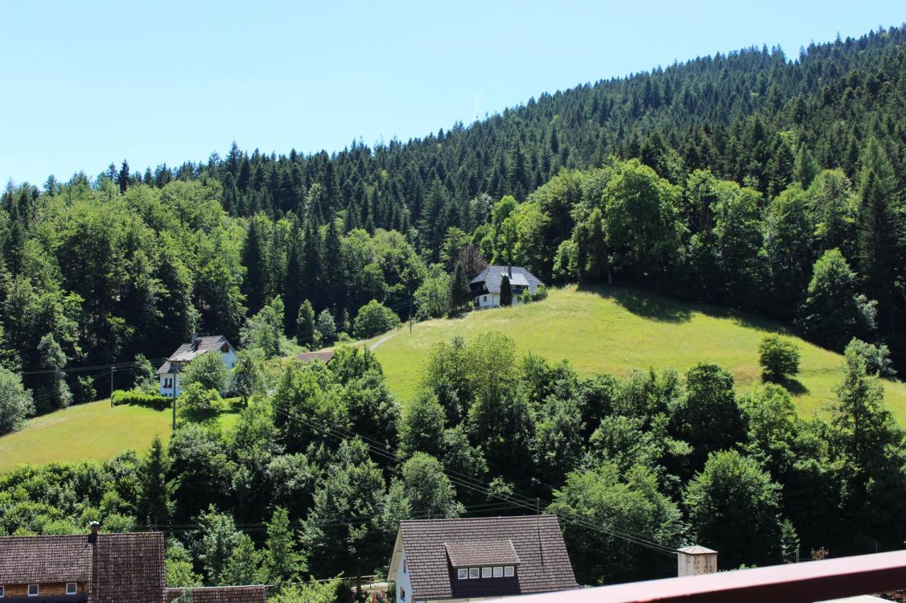Ferienwohnung Schwarzwaldblick Bad Rippoldsau-Schapbach Kültér fotó